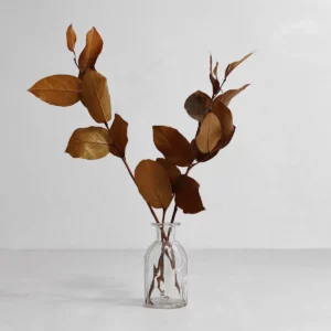 Salal Preservado (paquete)