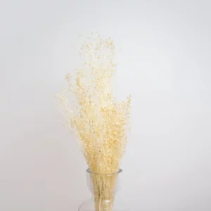 Broom Bloom (Natural)