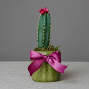 Petit Cactus Love (Verde)