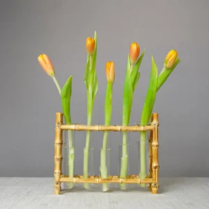Solitario Bamboo